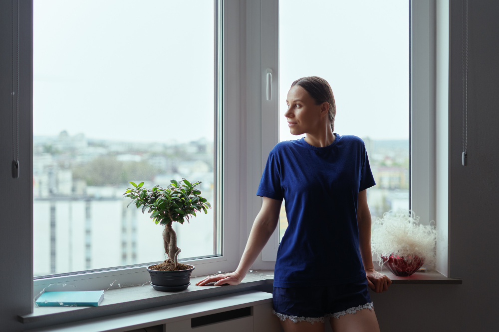 Akron Bay & Bow Windows